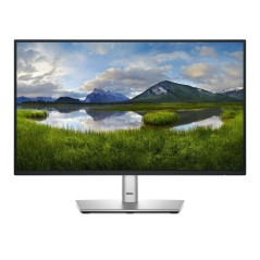 Dell Series P2225h Computer