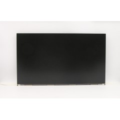 Lenovo Boe Mv238fhm N20 Display