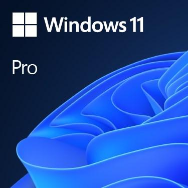 Operativsystem Windows Pro Microsoft Oem Dvd Engelsk