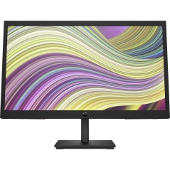 P22v Computer Monitor