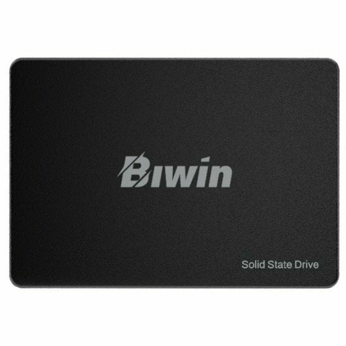 Ssd Harddisk Biwin Tech M100 Sata