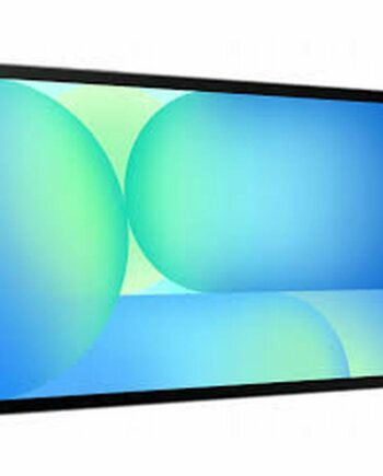 Tablet Samsung Galaxy Tab S10  128 Grå