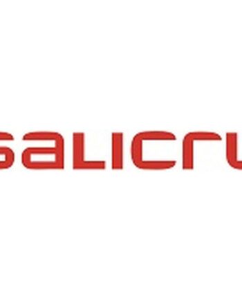 Ups Strømforsyning Salicru Interaktivt System