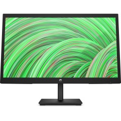 V22v Computer Monitor
