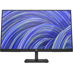 V24i Computer Monitor